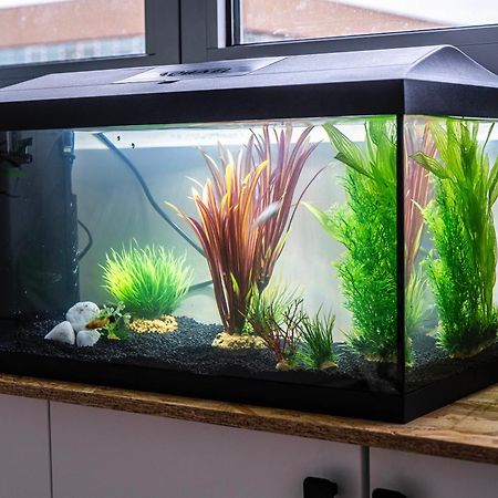 شقة Studio Chaleureux Avec Aquarium ماركب-ان-باروئيل المظهر الخارجي الصورة
