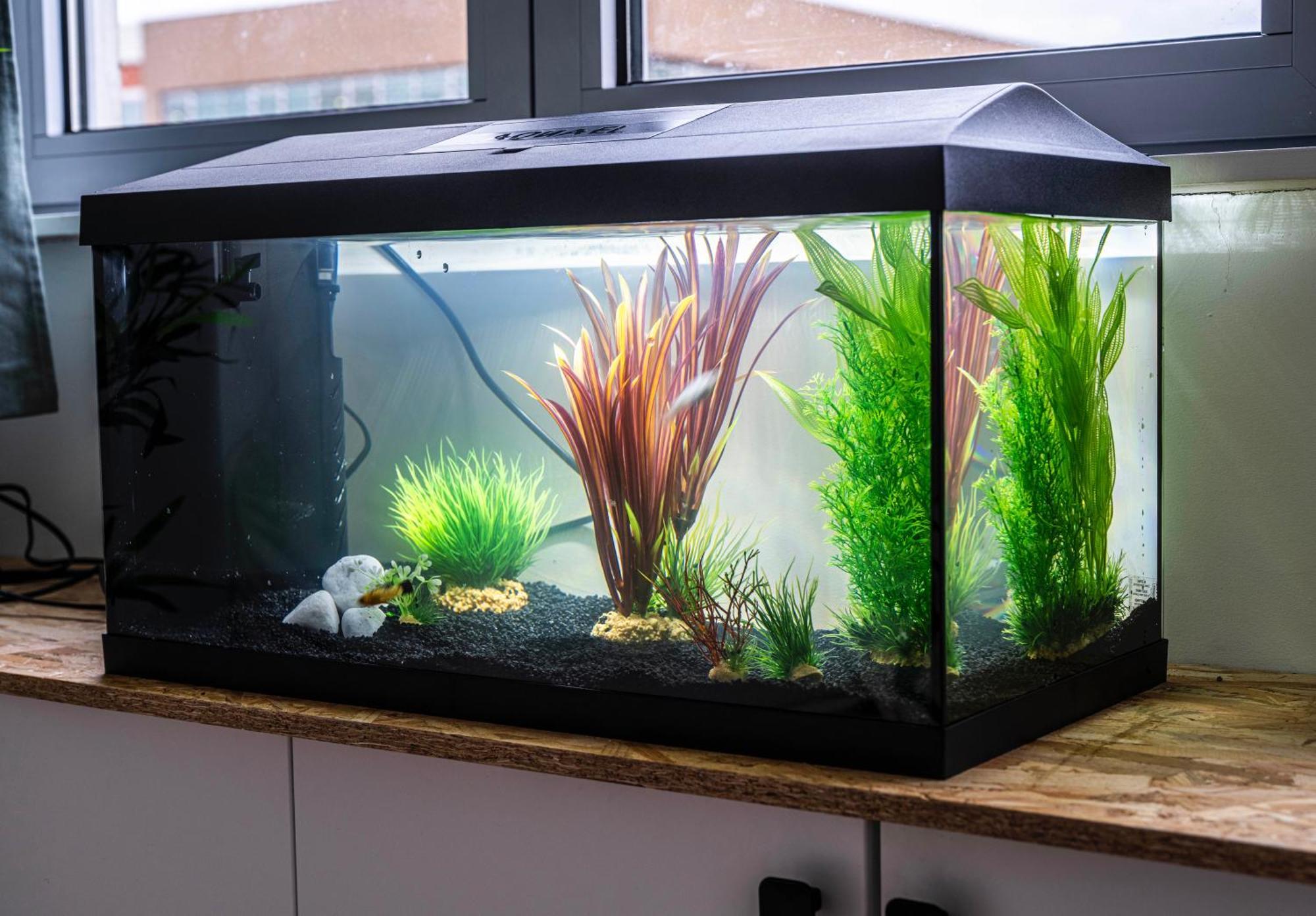 شقة Studio Chaleureux Avec Aquarium ماركب-ان-باروئيل المظهر الخارجي الصورة